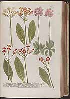  no thumbnail available