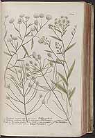  no thumbnail available