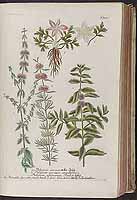  no thumbnail available