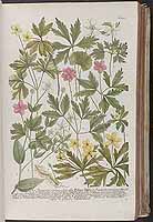  no thumbnail available