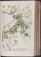  no thumbnail available