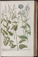  no thumbnail available