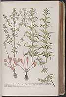  no thumbnail available