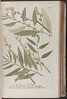  no thumbnail available