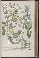  no thumbnail available