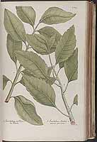  no thumbnail available