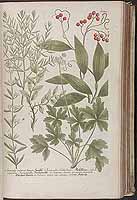  no thumbnail available