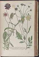  no thumbnail available