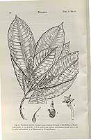  no thumbnail available