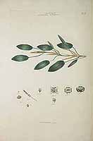  no thumbnail available