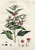  no thumbnail available