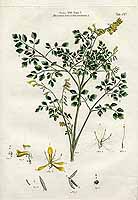  no thumbnail available