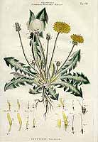  no thumbnail available