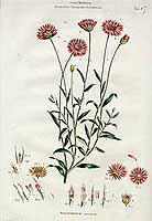  no thumbnail available