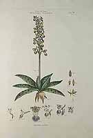  no thumbnail available