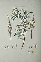  no thumbnail available