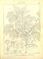  no thumbnail available