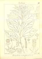  no thumbnail available