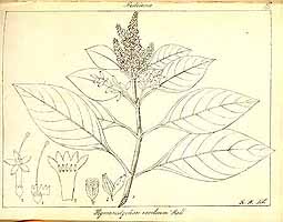  no thumbnail available