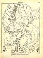  no thumbnail available