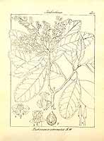  no thumbnail available