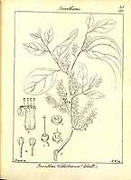  no thumbnail available