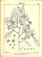  no thumbnail available