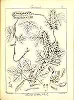  no thumbnail available