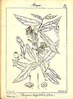  no thumbnail available