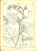  no thumbnail available