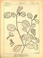  no thumbnail available