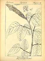  no thumbnail available