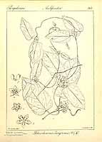  no thumbnail available