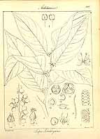  no thumbnail available