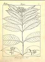  no thumbnail available