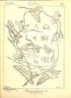  no thumbnail available