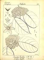  no thumbnail available