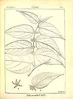  no thumbnail available