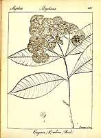  no thumbnail available