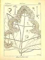  no thumbnail available