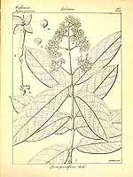  no thumbnail available