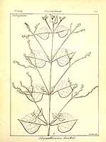  no thumbnail available