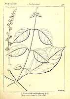  no thumbnail available