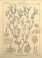  no thumbnail available