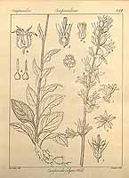  no thumbnail available