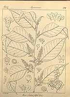  no thumbnail available