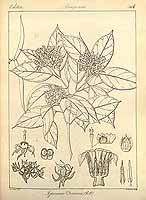  no thumbnail available