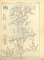  no thumbnail available