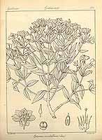  no thumbnail available