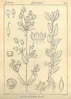  no thumbnail available